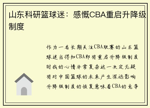 山东科研篮球迷：感慨CBA重启升降级制度